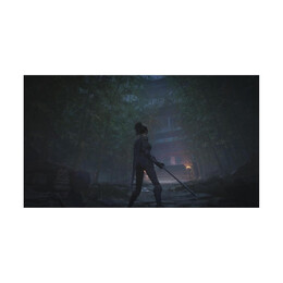 Ps5 Wuchang: Fallen Feathers - day one Edition