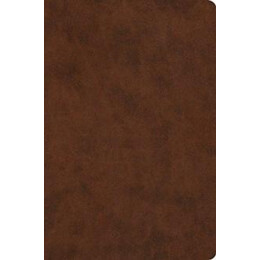 Esv Value Compact Bible
