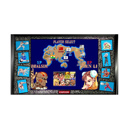 Nsw Street Fighter - 30th Anniversary Collection (Code in a Box)
