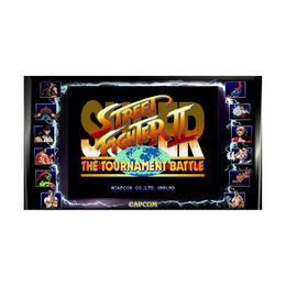 Nsw Street Fighter - 30th Anniversary Collection (Code in a Box)
