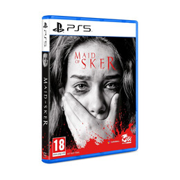 Ps5 Maid of Sker