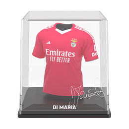 Fancollex: Myjersey - Benfica Home 2024/25 -  di Maria (01my00022)