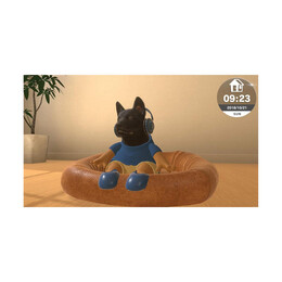 Nsw Little Friends: Dogs & Cats (Code in a Box)