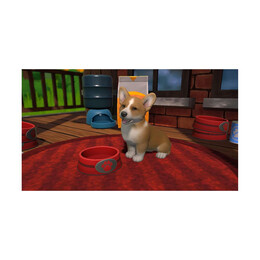 Nsw Little Friends: Puppy Island (Code in a Box)