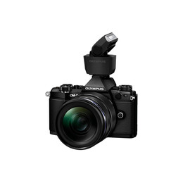 Olympus fl-lm3 Black Flash