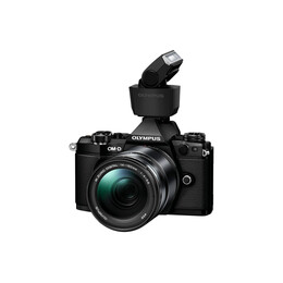 Olympus fl-lm3 Black Flash