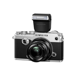 Olympus fl-lm3 Black Flash