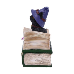 Nemesis now Adult: Gothic - Binx Figure (11cm)