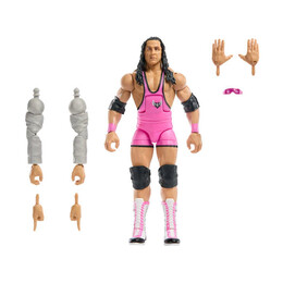 Mattel Wwe®: Survivor Series® - Bret hit man (Jcj62)