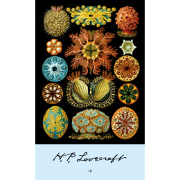 H. p. Lovecraft  #10