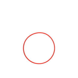 Olympus pol-058 o-Ring for pt-058 / pt-059