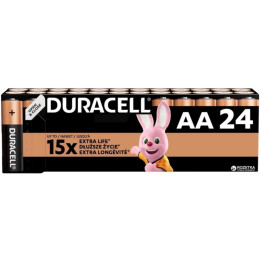 Duracell Basic lr6 aa Alkaline Battery (Carton) (Dur19342)