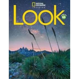 Look 6 Combo Split a Brit. ed