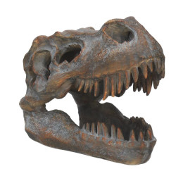 Nemesis Now: Tyrannosaurus - rex Skull Freestanding (16cm) (D1245d5)