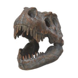 Nemesis Now: Tyrannosaurus - rex Skull Freestanding (16cm) (D1245d5)