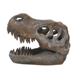 Nemesis Now: Tyrannosaurus - rex Skull Freestanding (16cm) (D1245d5)