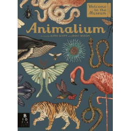 Welcome to the Museum: Animalium
