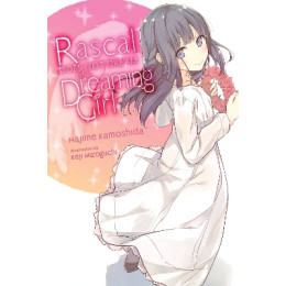 Rascal Does not Dream of a Dreaming Girl (Light Novel)