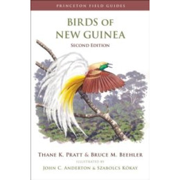 Birds of new Guinea