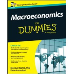 Macroeconomics for Dummies, uk Edition