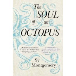 Soul of an Octopus