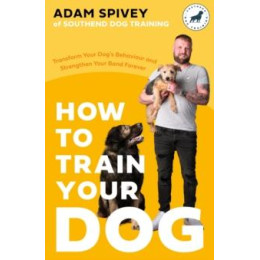 How to Train Your dog