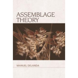 Assemblage Theory