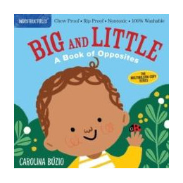 Indestructibles: big and Little: a Book of Opposites