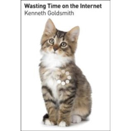Wasting Time on the Internet