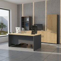 Ντουλάπα Γραφείου Επαγγελματική Venturo Megapap Χρώμα Ανθρακί - Φυσικό Οξιάς 80x40x200εκ.