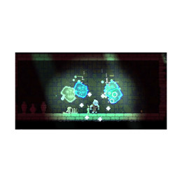 Ps5 Dunjungle - Premium Edition