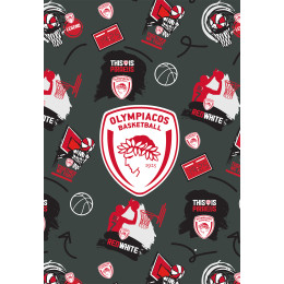 Τετράδιο Ριγέ Β5 - Ολυμπιακός Μπάσκετ 2