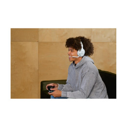 Turtle Beach: Stealth 500 - Wireless Gaming Headset (Gen 3) [For Xbox, pc] (Color: Arctic Camo)