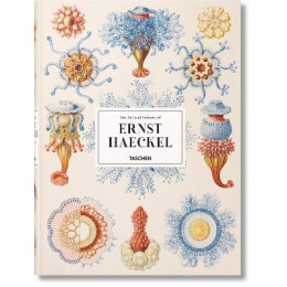 Taschen xl : the art and Science of Ernst Haeckel hc