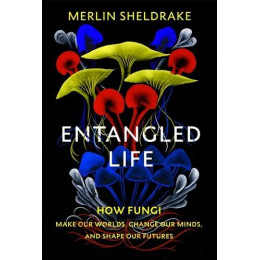 Entangled Life : how Fungi Make our Worlds, Change our Minds and Shape our Futures