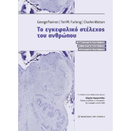 Το Εγκεφαλικό Στέλεχος του Ανθρώπου
