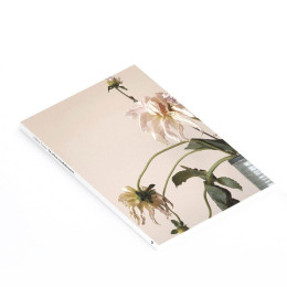 Το Γελιο τησ Μεδουσας