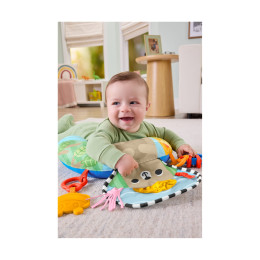 Fisher-Price: Activity Mats Tummy Time - Activity mat With Bear (Jhb44)