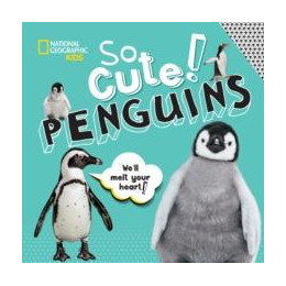 So Cute: Penguins