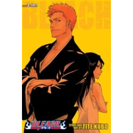 Bleach (2-in-1 Edition), Vol. 25