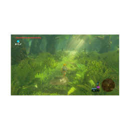 Nsw2 the Legend of Zelda: Breath of the Wild