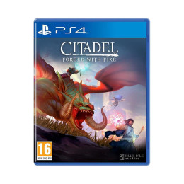 Ps4 Citadel: Forged With Fire