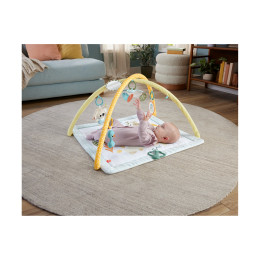 Fisher-Price: Γυμναστήρια - οι Πρώτες του Αισθήσεις (Jmn74)