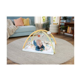 Fisher-Price: Γυμναστήρια - οι Πρώτες του Αισθήσεις (Jmn74)