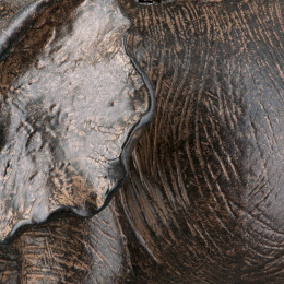 Figure Elephant Synthetic Resin Brown 2 Assorted 18X10X20Cm 18X10X20Cm