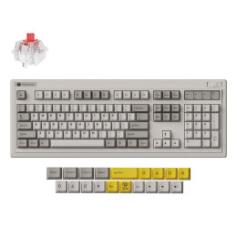 Keychron r6 (r6-m1) qmk Wireless Mechanical Keyboard red Switch hot-Swap rgb 100% us Retro