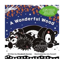 Wonderful Wood: a Black-and-White High-Contrast Storybook for Newborns and Children Aged 0-5