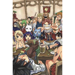 Fairy Tail box set vol 04 (Res) (c: 1-1-0)