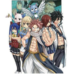 Fairy Tail 100 Years Quest gn vol 08 (c: 0-1-1)