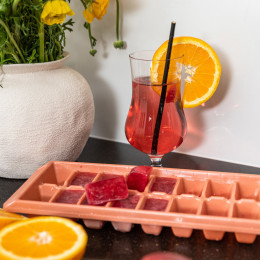 Παγοθηκη Πλαστικη 16 Θεσεων Rotten Apple